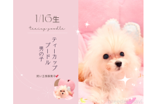 榊原栄太ブリーダー